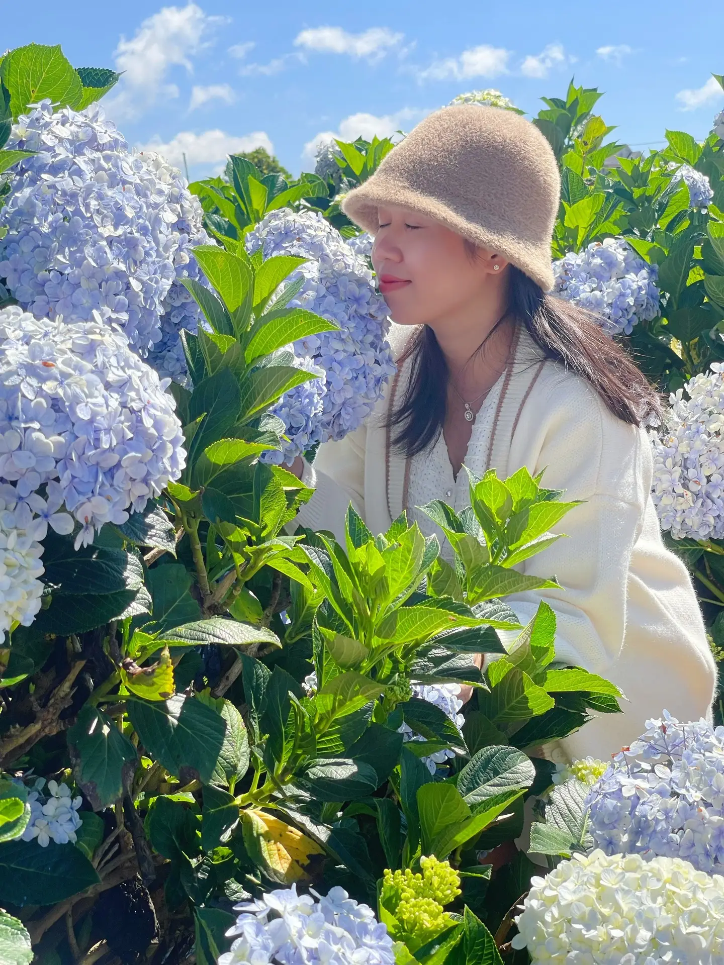 img 1684887205184 1684887217205